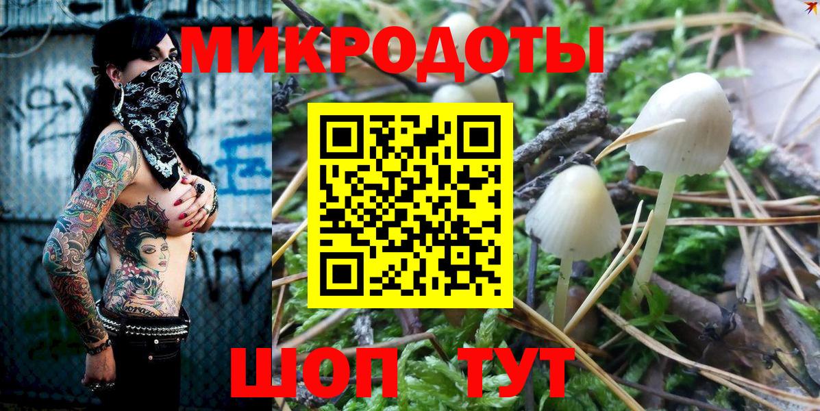 Псилоцибиновые грибы Cubensis  Вход с VPN  Малгобек 