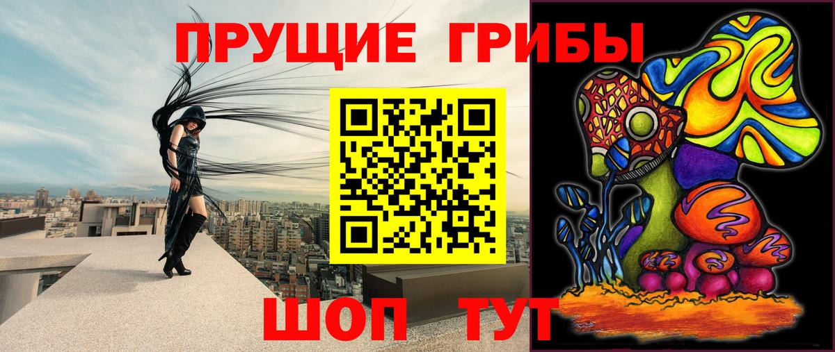 Псилоцибиновые грибы Magic Shrooms Малгобек